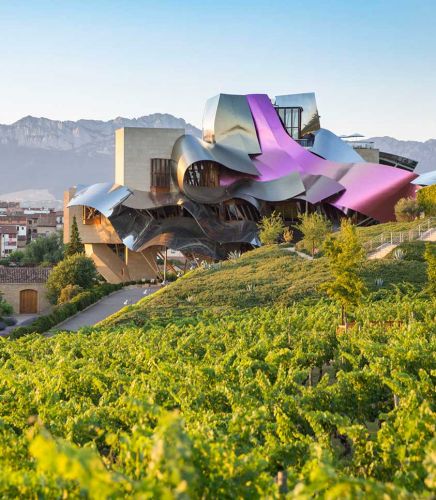 About FINE Club - Travels